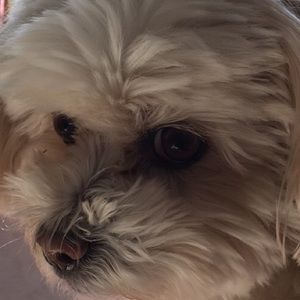 Meet your Posher, Marie